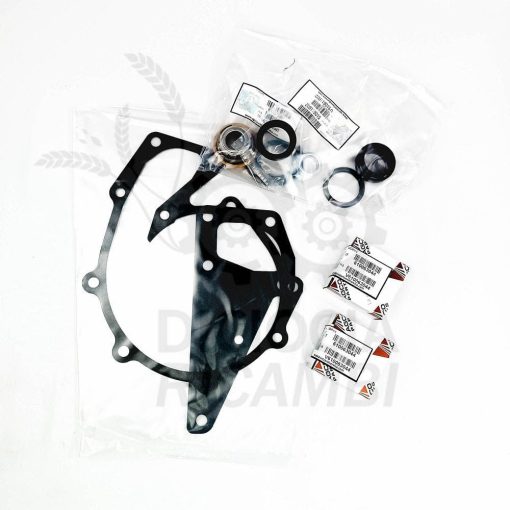 Kit riparazione pompa acqua Laverda V836840101