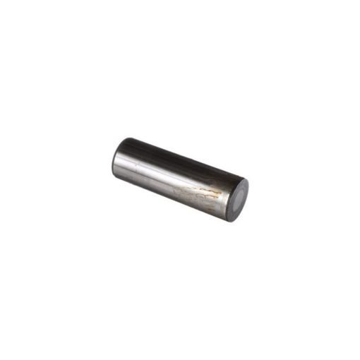 Perno satellite 22x79 mm cod. 4966084