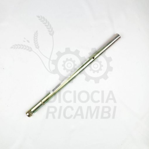 Asta Forcella 5109274 GB