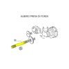 Albero Presa di Froza 5130335