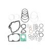 Kit guarnizioni sollevatore Fiat 1940019