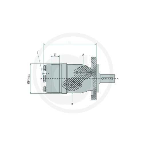 Motore idraulico orbitale BMP 50 cc D.25mm 1/2