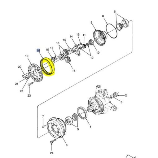Corona Dentata 5151439
