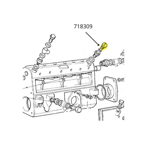 718309 Vite di Sfiato Pompa Iniezione