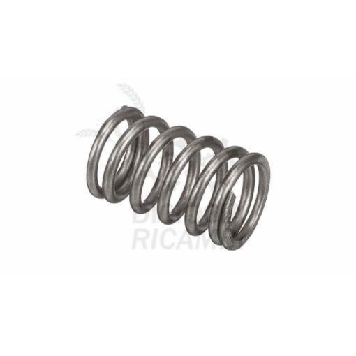 Molla testata motore originale CNH 83999742