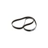 Cinghia motore a multigola 84229205 New Holland