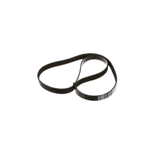 Cinghia motore a multigola 84229205 New Holland