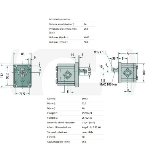 MOTORE IDRAULICO REVERSIBILE ALBERO CONICO 1:8 GRUPPO 2