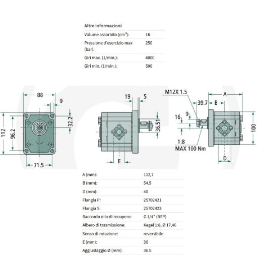MOTORE IDRAULICO REVERSIBILE ALBERO CONICO 1:8 GRUPPO 2