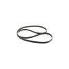Cinghia motore 87316556 New Holland