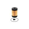 FILTRO ADBLUE ADATTABILE A 84254852