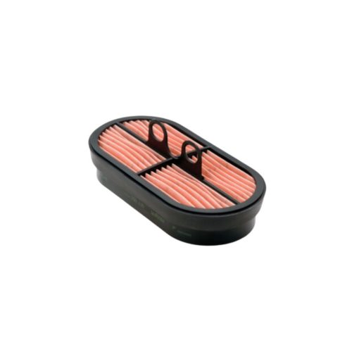 Filtro aria motore Donaldson P600975