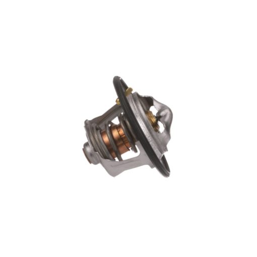 Termostato raffreddamento motore CNH 504384724