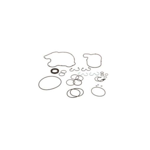 Kit guarnizioni Pompa per serie TM CNH 82036258