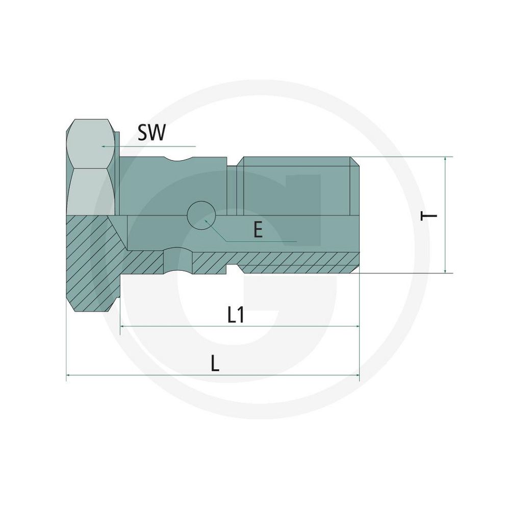 Vite forata BSP 1/4" - 3/8" - 1/2"