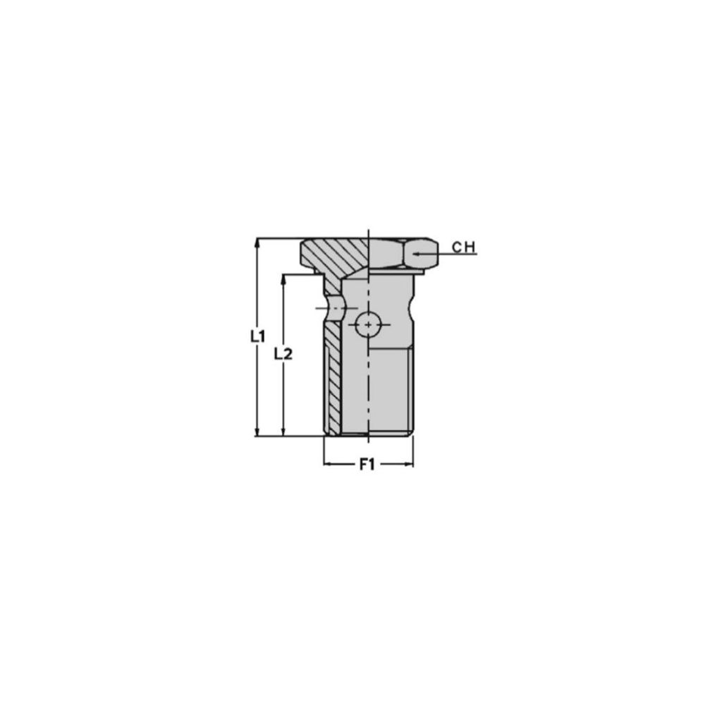 Vite forata BSP 1/4" - 3/8" - 1/2"
